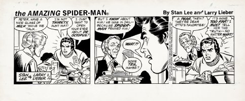 Amazing Spider-Man Daily Comic Strip (2-7-81) Comic Art